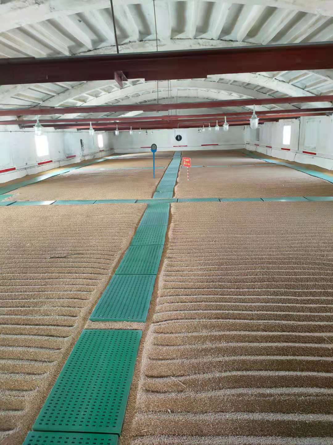 1640678425175145.jpg e78027d2b2e38c7ef5a29d5658184a4.jpg