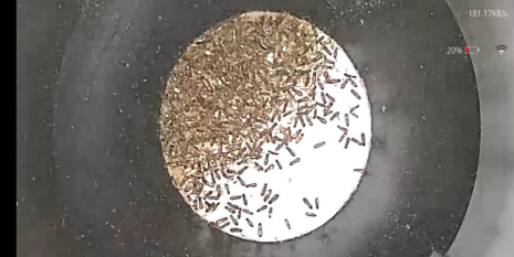 1706057481146153.png image.png