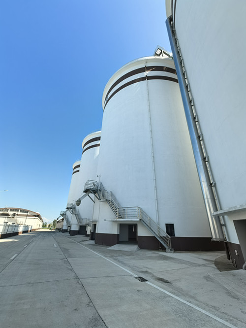 1732178482380232.jpg 011036d167176003ea49e913cc2ca05(1)_副本.jpg