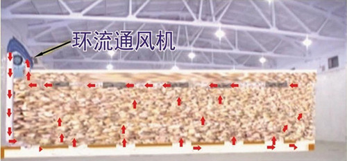 1735111146108034.jpg 膜下环流熏蒸环流示意图_副本.jpg